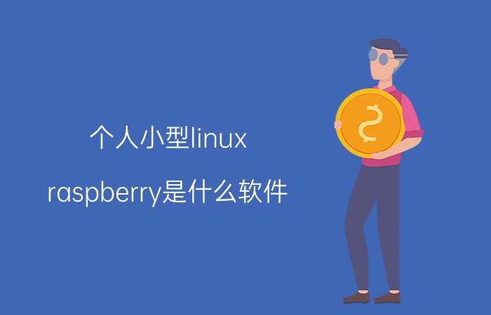 个人小型linux raspberry是什么软件？